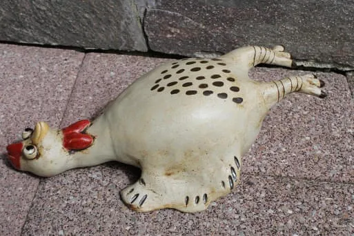 Huhn-liegend- Huhn-liegend-