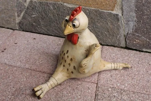 Huhn-Sporthuhn-Spagat- Huhn-Sporthuhn-Spagat-