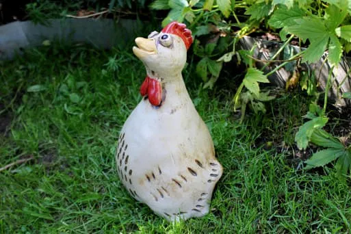 Huhn-guck-in-die-Luft Huhn-guck-in-die-Luft