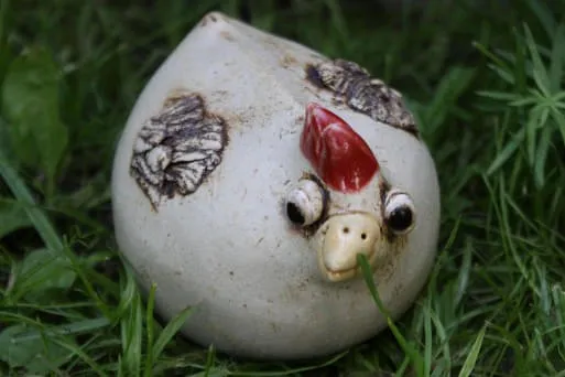 Huhn-klein Huhn-klein