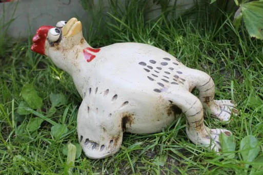 Huhn-liegend- Huhn-liegend-