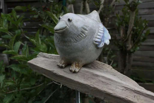 Vogel-auf-Treibholz Vogel-auf-Treibholz