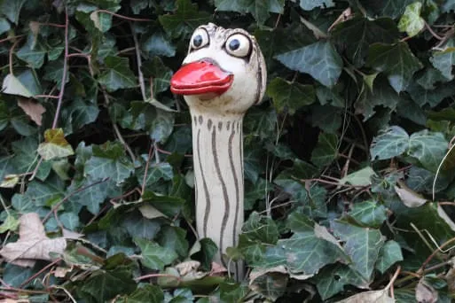 Straussenkopf-frostsicher- Straussenkopf-frostsicher-